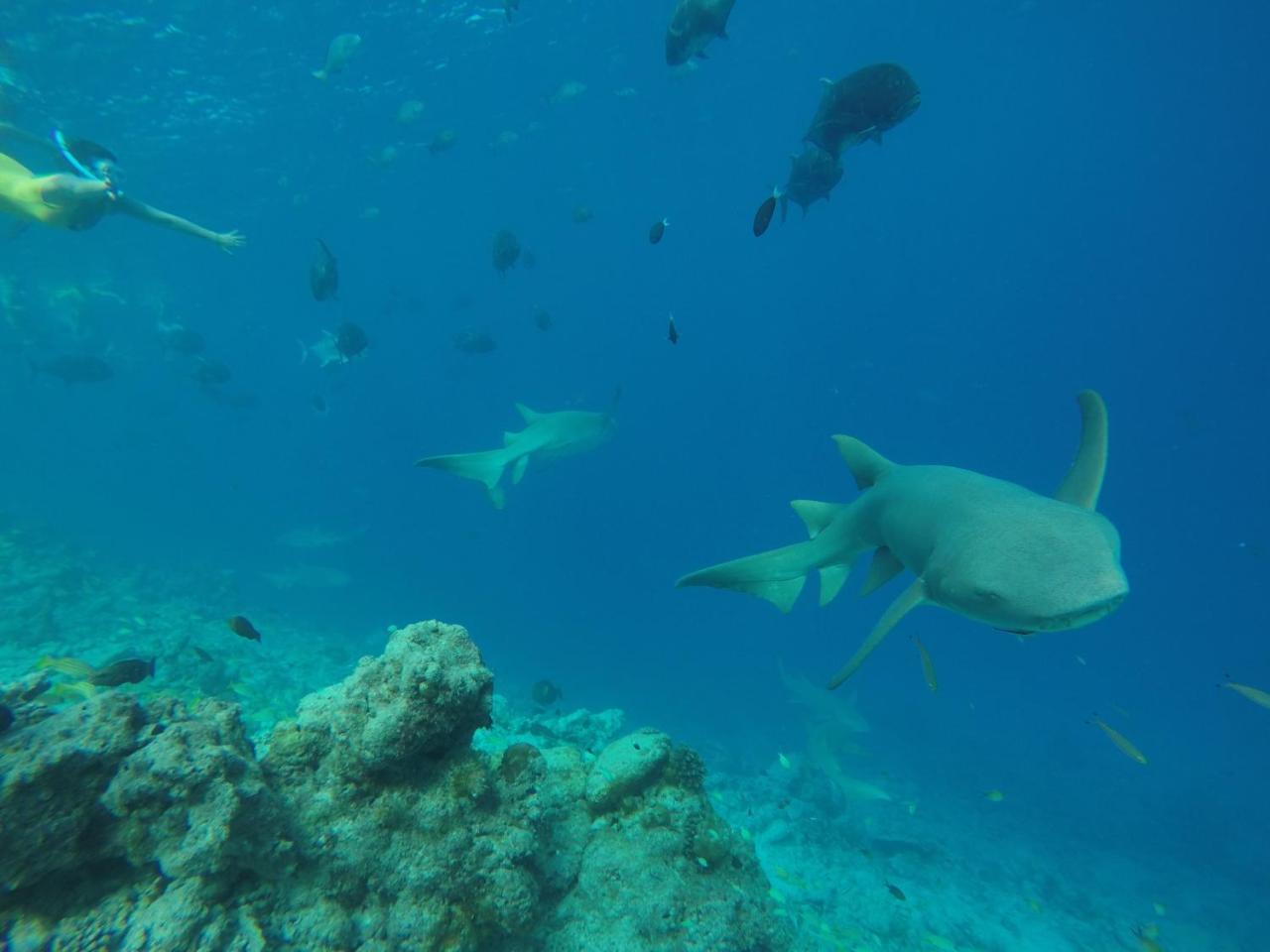 Zeestar Inn Maafushi Luaran gambar